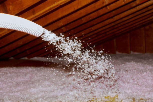 Best Residential Insulation Services  in Seward, NE