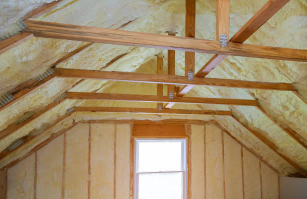 Best Wall Insulation Contractor  in Seward, NE