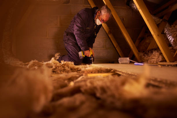 Best Insulation Replacement Services  in Seward, NE